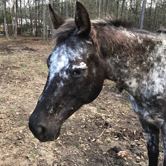 Meet your Posher, Kerry - Picture 6 of 12